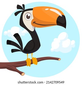 Funny toucan cartoon. Vector bird illustration