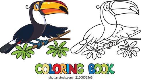 Funny toucan Coloring book or coloring picture