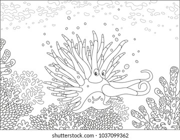 Funny tropical mollusc among amazing corals on a reef, a black and white vector illustration in a cartoon style for a coloring book