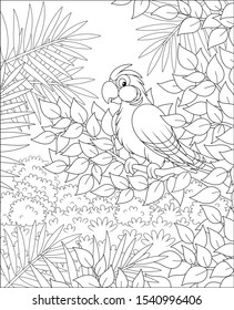 Funny tropical parrot perched on a tree branch in tropical jungle, black and white vector illustrations in a cartoon style for a coloring book