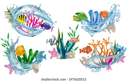 Funny Tropicals colorful fish, seaweed, corals, starfish, shell with pearl, shell, water splash. Underwater world, Cartoon character. 3D vector illustration.