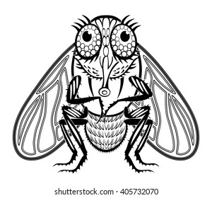 funny tsetse fly