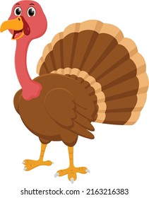 Funny Turkey Bird Cartoon, Isolated On White Background