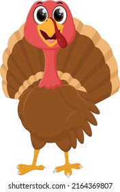 funny turkey bird Cartoon, isolated on white background