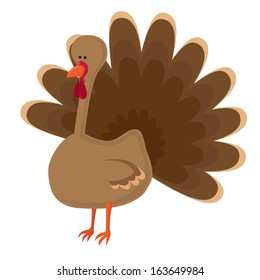 Funny turkey cartoon