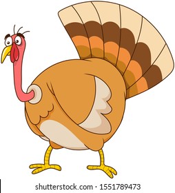 funny turkey cartoons vector illustration