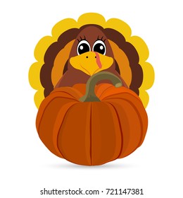 Funny turkey peligrimm with a pumpkin for Thanksgiving