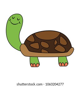 Funny turtle cartoon