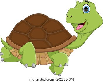funny turtle cartoon isolated on white background