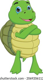 funny turtle cartoon isolated on white background