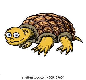 Funny turtle hand drawn image. Original colorful artwork, comic childish style drawing.
