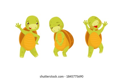 964 Sad Turtle Images, Stock Photos & Vectors 