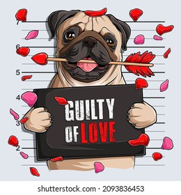 Funny Valentine's day Pug dog Mugshot with cupid's arrow in his mouth guilty of love  