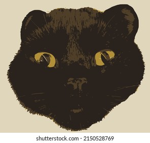 Funny vector gran cara de gato, negro con grandes ojos anaranjados y orejas pequeñas, mirando a la cámara