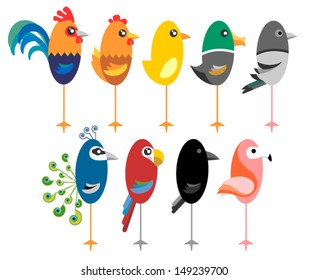 funny vector birds