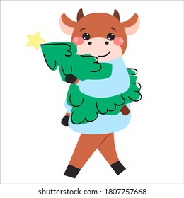 Funny vector cartoon bull in a blue sweater holding a Christmas tree.New Year  illustration with 2021 symbol.Character in flat style isolated on white background.