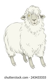 Funny vector cartoon colorful sheep isolated background