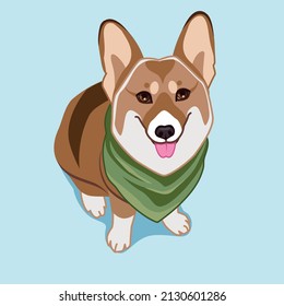 Funny vector character. Welsh corgi in a green bandana. Textile print.