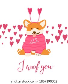 Funny vector corgi in a headband with hearts for Valentine day print. I woof you quote with a dog for February, 14