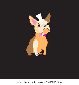 Funny vector dog bulldog on a dark background