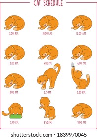 funny vector illustration cartoon style, digital painting, cat schedule