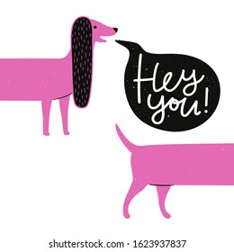 Funny vector illustration with pink long body dachshund and black speech bubble. Hey you lettering phrase. Humor typography poster, greeting card design, apparel print