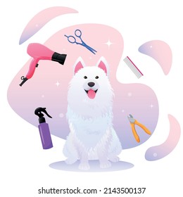 Funny vector illustration of samoyed on grooming with hair dryer, comb, nail clipper and spray
