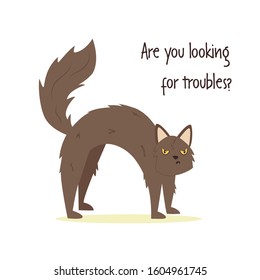 Funny vector illustration of a vicious cat and phrase ARE YOU LOOKING FOR TROUBLE