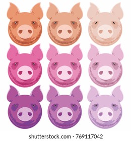 Funny vector round pig