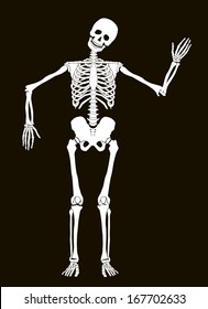 Funny vector skeleton isolated over black. Halloween design