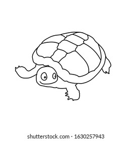 funny vector turtle. line drawing illustration. black and white mammal. animal outline. simple icon. baby doodle. cartoon character.