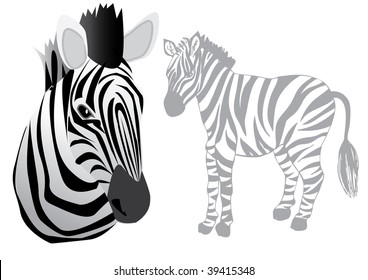 funny vector zebra