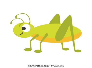 Funny vigorous grasshopper with big eye and long legs