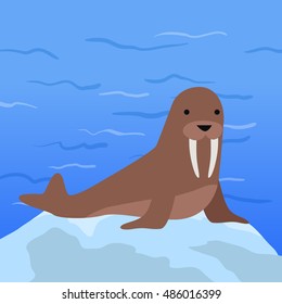 Funny walrus on background of arctic glacier. Brown walrus with white fangs. Animal adorable walrus vector character. Charming walrus. Wildlife character