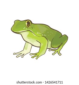 Funny watercolor frog in a cartoon style.
