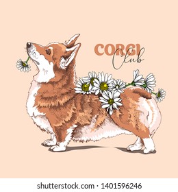 Funny Welsh corgi dog with a chamomile flowers. Corgi club - lettering quote. Humor card, t-shirt composition, hand drawn style print. Vector illustration.