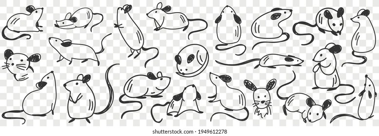 Funny white and black sheep animals doodle set