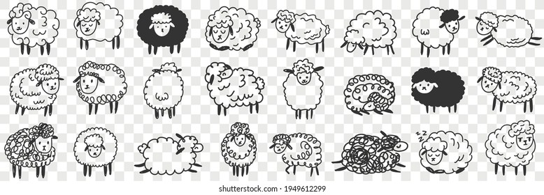 Funny white and black sheep animals doodle set