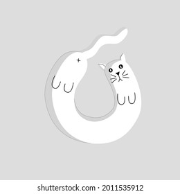 A funny white cat curled up in a ball. Pets.