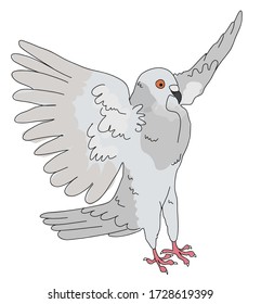 Funny white dove. Hand drown vector illustration.