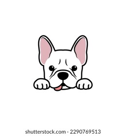 Funny white french bulldog cartoon isolated on a white background, vector illustration