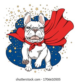 Funny white french bulldog in a superhero cape. Running dog.