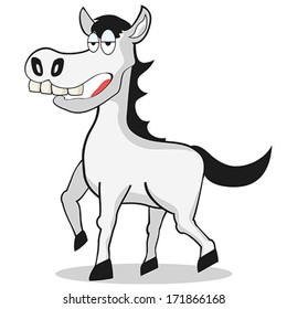 funny white Horse