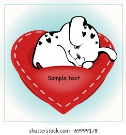 funny white puppies with a heart 3.