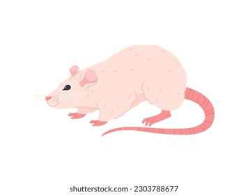 Funny white rat walking, cartoon flat vector illustration isolated on white background. Cute house rat drawing. Rodent animals concept.