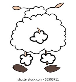 Funny white sheep back turned.