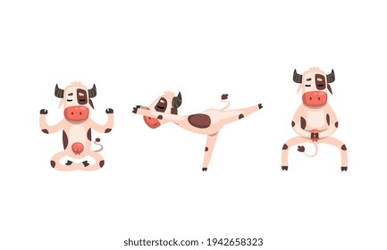 Funny White Spotted Cow Doing Yoga Set, Cute Cheerful Farm Animal Character Stretching and Meditating Cartoon Vector Illustration