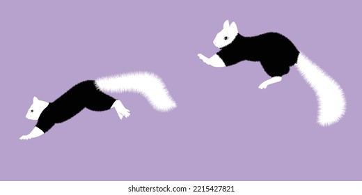 Funny wild animal cartoon squirrel running, standing and jumping. vector squirrel collection cartoon animal character design Isolated flat vector illustration on white background.