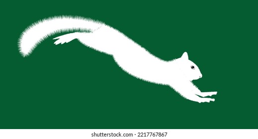 Funny wild animal cartoon squirrel running, standing and jumping. vector squirrel collection cartoon animal character design Isolated flat vector illustration on white background.