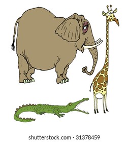 Funny wild animals